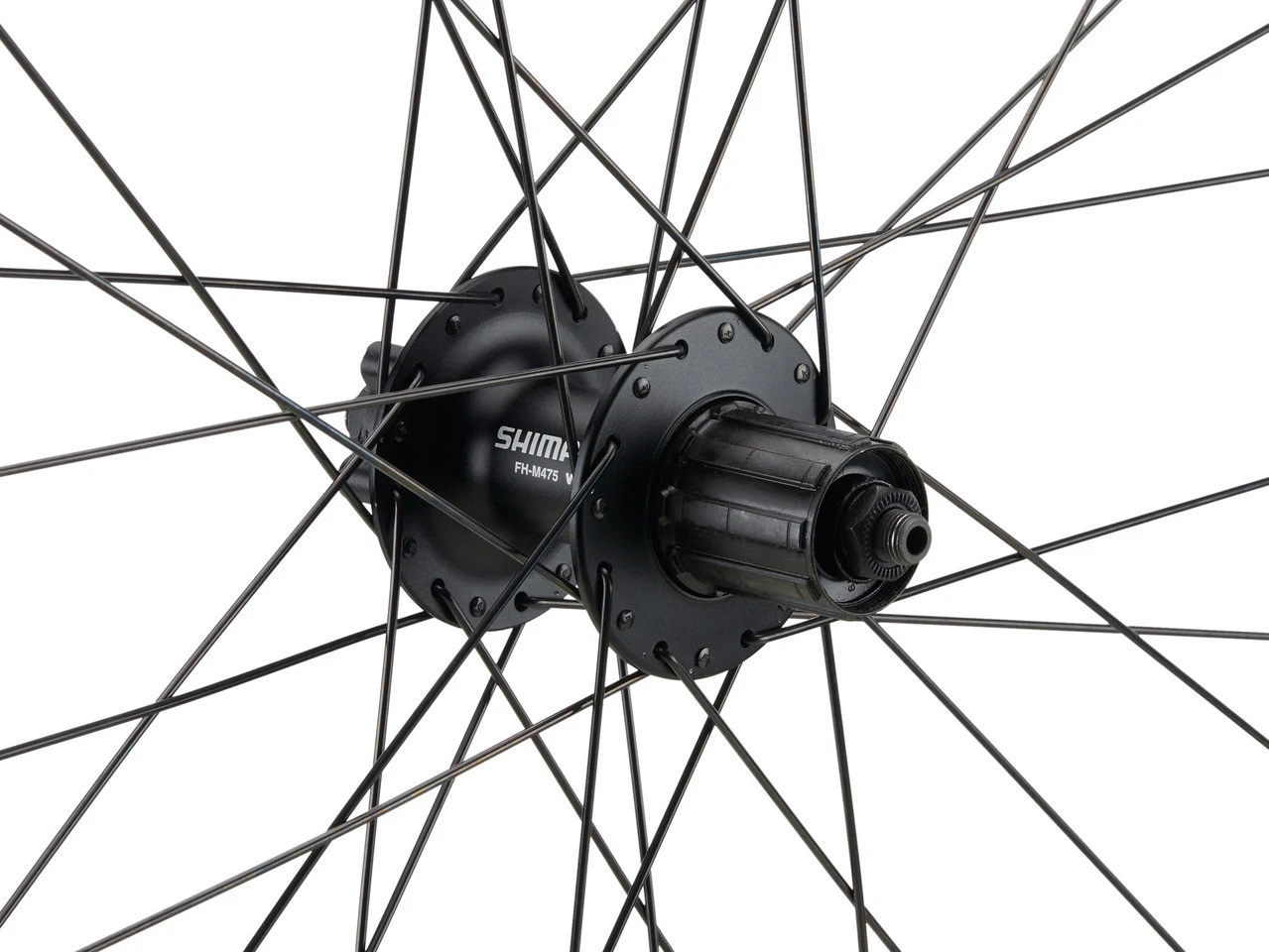 Mountain Alivio Disc 6-Loch DT Swiss 466d 29" Laufradsatz â Bild 5